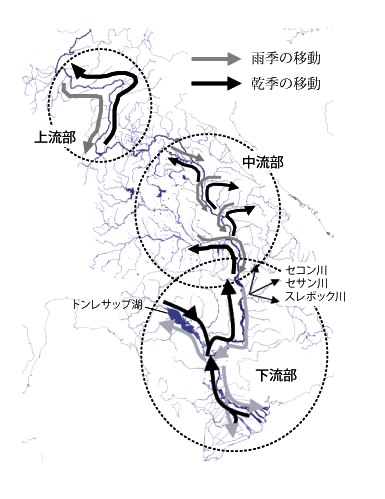 ̉Vn}