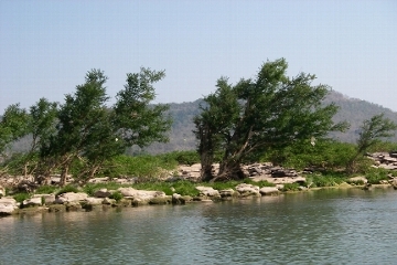 ���R����