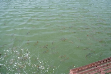 �����여��