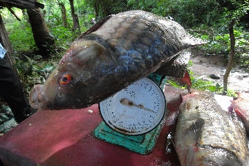 �����여��