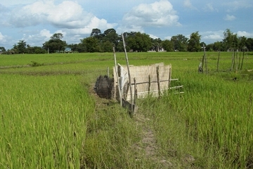 ���c�Ɏd�|�����鋙��